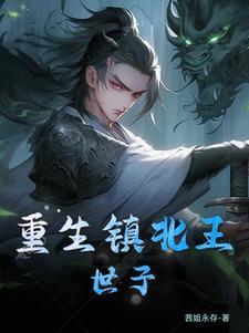 镇北王的男妃