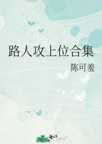 路人攻上位合集双洁吗