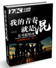 我的青春就是混 聚合中文网