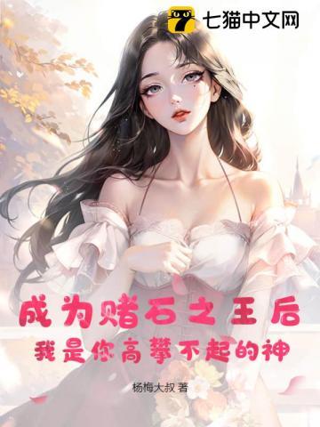 赌石之王在线阅读