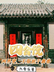 四合院两进
