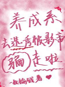 养成系偶像和选秀偶像