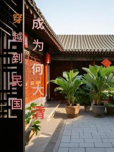 穿越到民国成为何大清TXT