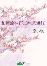 和顶流在打工综艺爆红后续