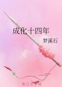 成化十四年TXT链接