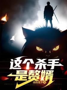 这个杀手有点蠢百科