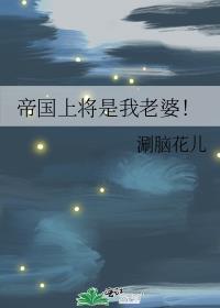 帝国上将作品