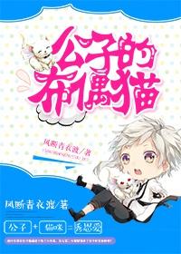 布偶公猫照片