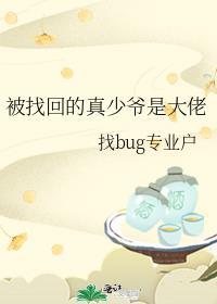 被找回的真少爷是大佬 找bug专业户