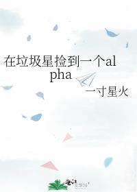 在垃圾星上捡垃圾的机甲