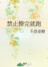 禁止撩完就跑 不放姜糖 txt
