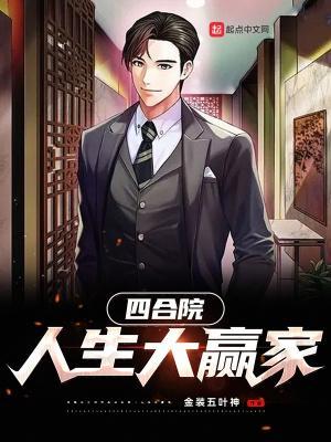 四合院人生大赢家全文阅读_传艺