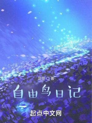 自由鸟 电影