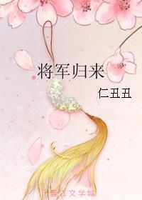 将军归来沈明昭全集