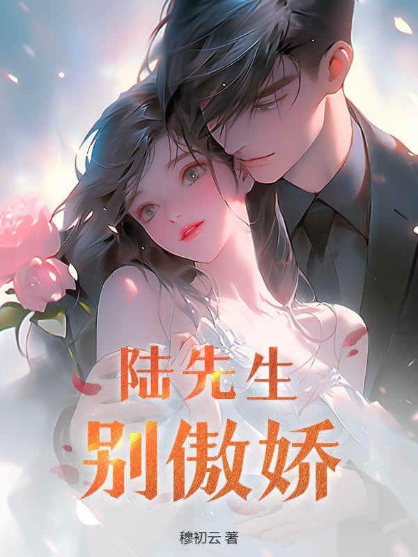 陆先生别惹我免费阅读
