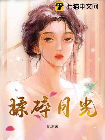 揉碎了岁月