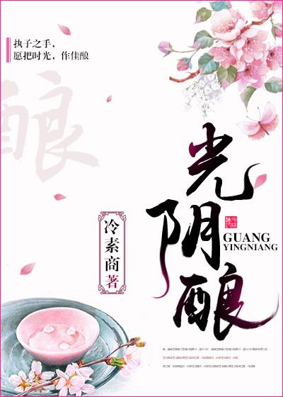 光阴酿评价如何