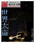 世界大盗实力有多强