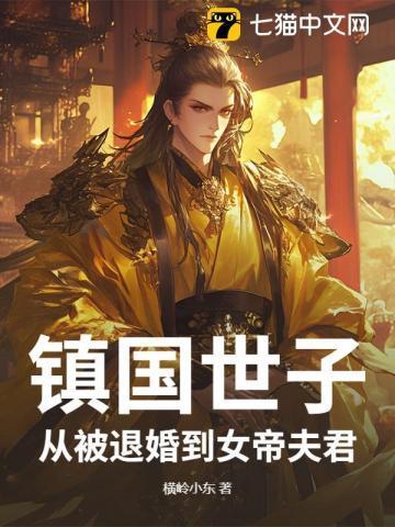 镇国王妃免费阅读