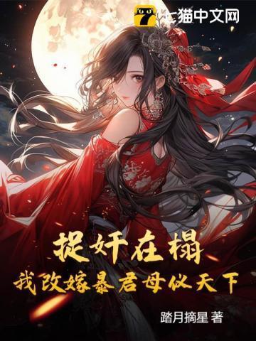 假公主真驸马