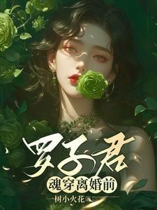 罗子君魂穿离婚前一树小火花