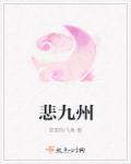 九州不同悲