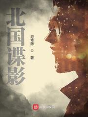 北国谍影完整版