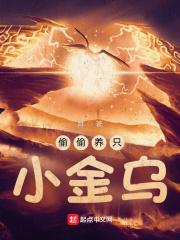 偷偷养只小金乌TXT奇书网