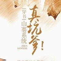 山寨系统类