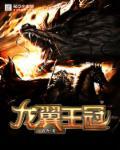 龙翼是什么