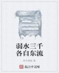 弱水三千后面是什么