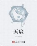 天宸股份是做什么的