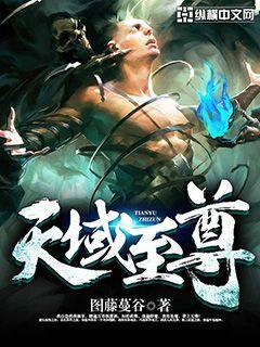 天域至尊笔趣阁