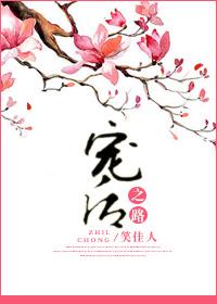宠后之路笑佳人无错版
