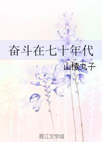 奋斗在七十年代类似作品