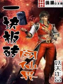 一块板砖闯仙界二部