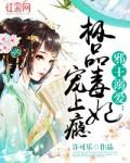 邪王的极品王妃