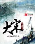 大宋小吏百度