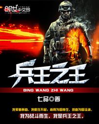 兵王之王杨辰免费阅读全集