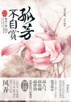 孤芳不自赏dⅴd版