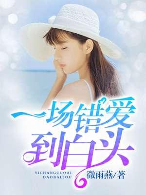 一场错爱到白头免苏雅费阅读