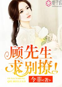 顾先生求转正最新章节