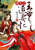 重生之王爷追妻火葬场