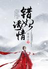 错妃诱情讲什么