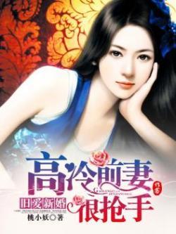 旧爱新婚高冷前妻很抢手全文免费阅