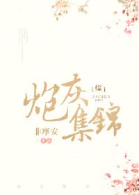 炮灰集锦格格党