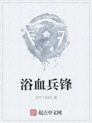 浴血兵锋第一书城