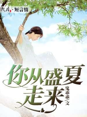 你从盛夏走来下一句