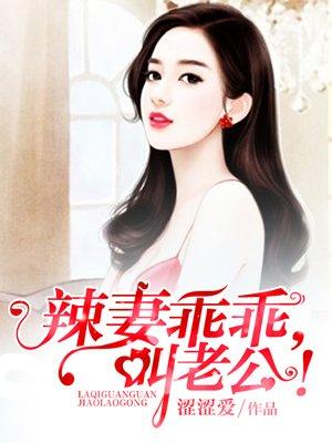 辣妻追夫全本阅读