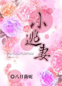 首席总裁的小逃妻